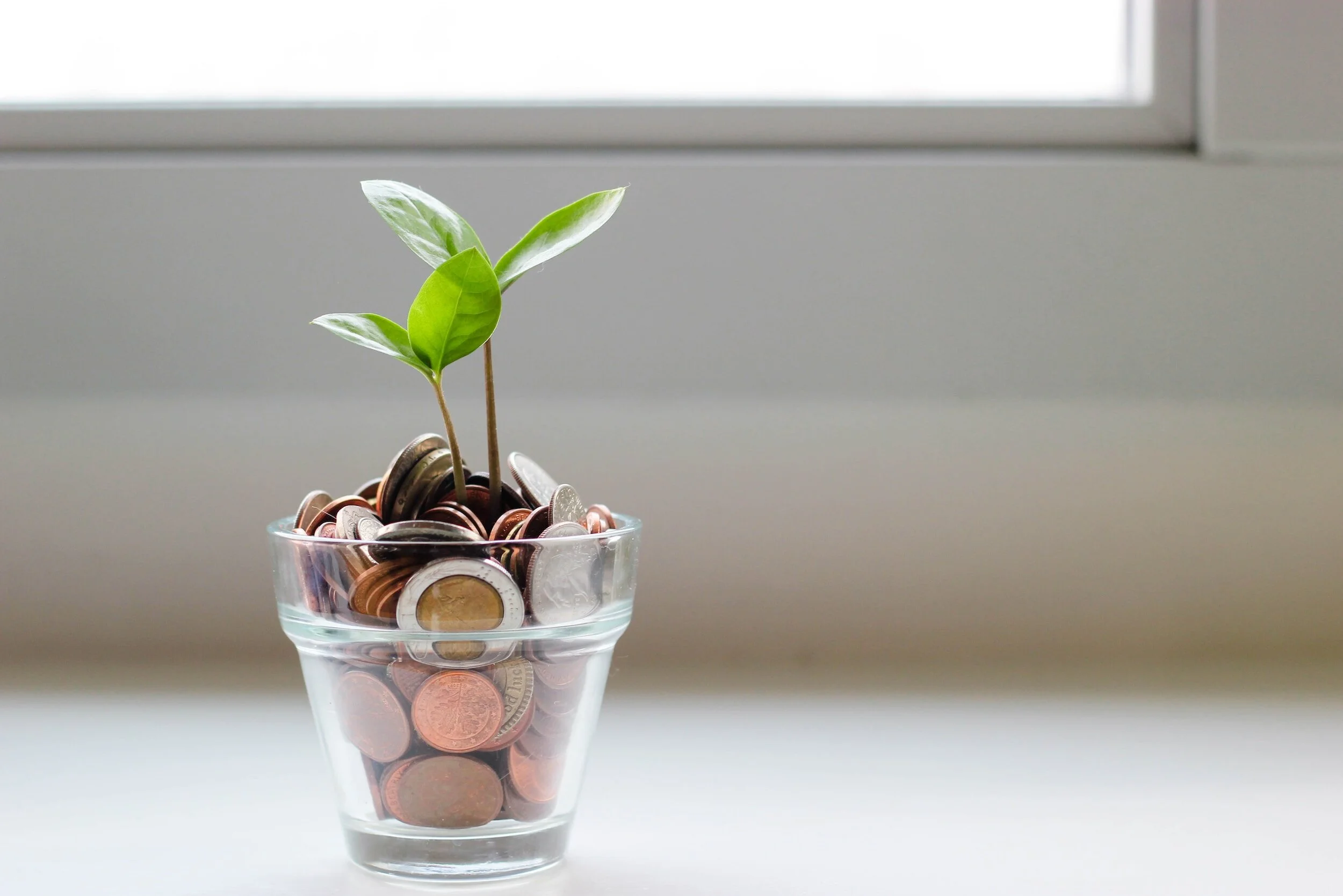 Growing Money
