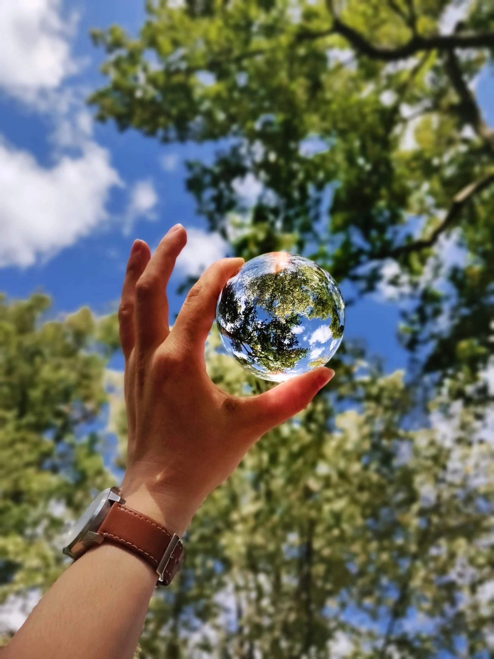 Clear Sphere with Tree